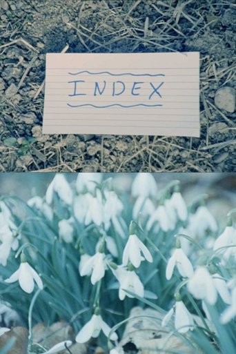 Index Poster of Index