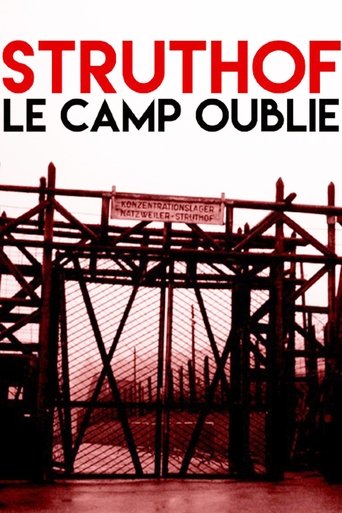 Poster of Memories of a Nazi Camp