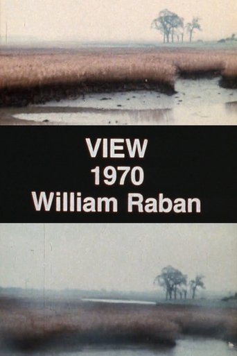 View Poster of View