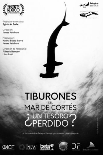 Poster of Tiburones Del Mar De Cortés: ¿Un Tesoro Perdido?