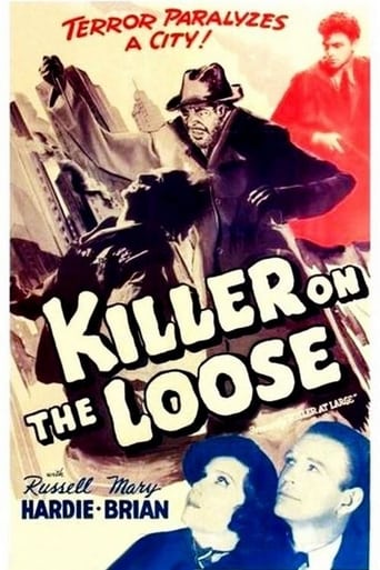 Poster of Killer at Large