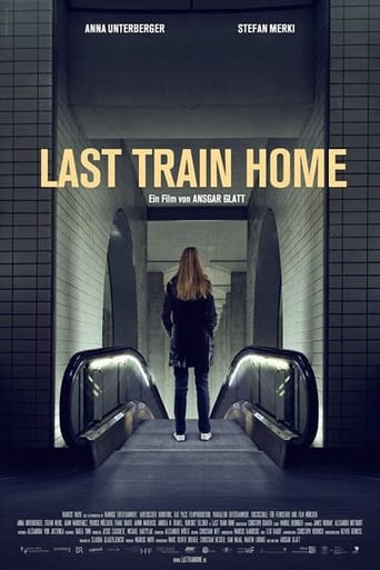 Poster of Last Train Home
