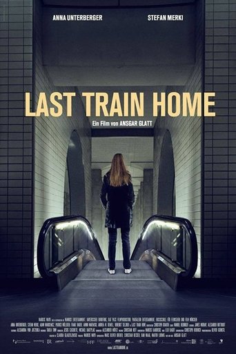 Poster of Last Train Home