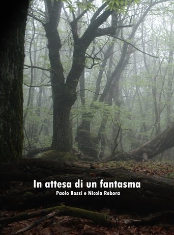 Poster of In attesa di un fantasma