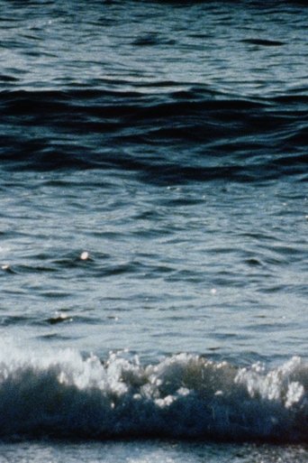 Poster of Red Sea