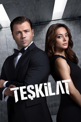 Poster of The Shadow Team