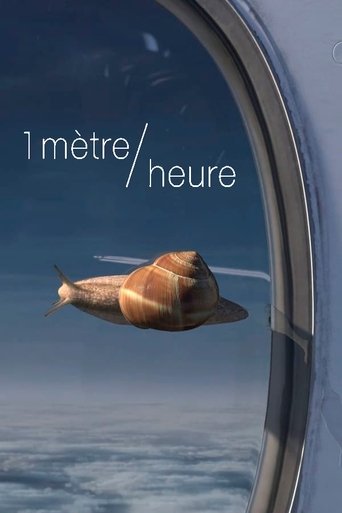 Poster of 1 meter/hour
