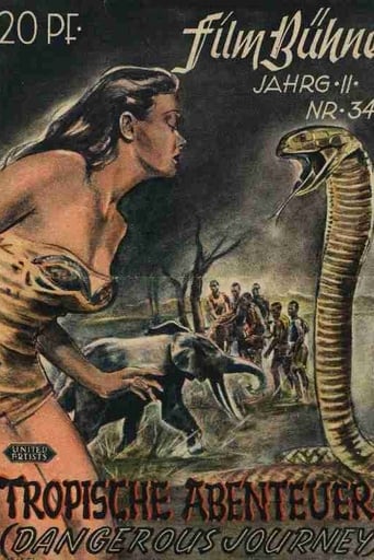 Poster of Dangerous Journey