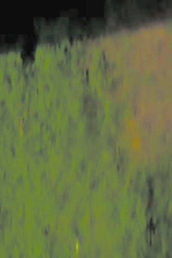 N NN N NN Poster of N NN N NN