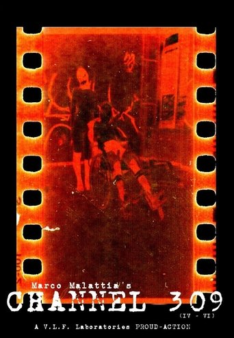 Poster of Channel 309 (4-6)
