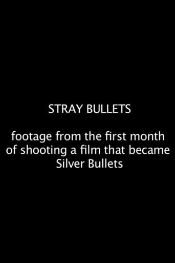 Poster of Stray Bullets