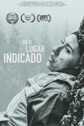 En el lugar indicado Poster of En el lugar indicado