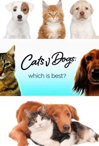 Cats v Dogs: Which is Best? Poster of Cats v Dogs: Which is Best?