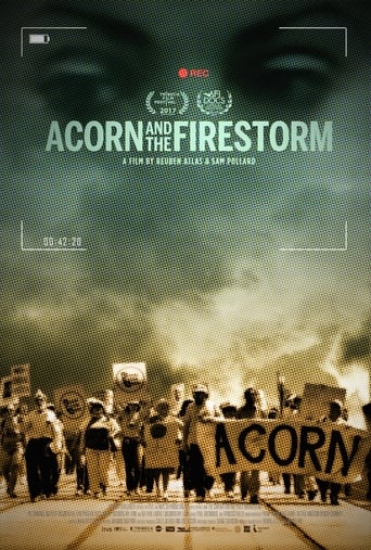 Poster of Acorn and the Firestorm