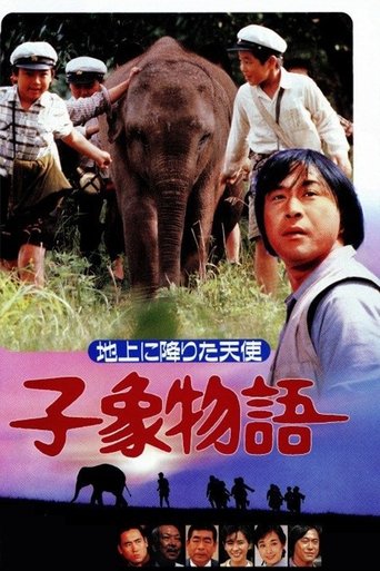 Poster of Baby Elephant Story: The angel who descended to earth