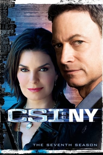 Portrait for CSI: NY - Season 7