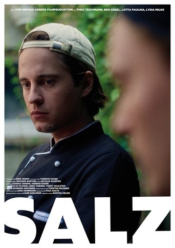 SALZ Poster of SALZ