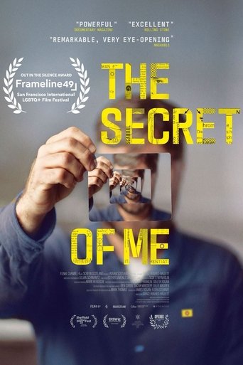 Poster of The Secret of Me
