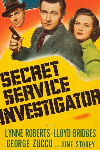 Poster of Secret Service Investigator