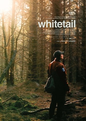 Poster of Whitetail