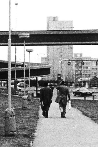 Walking Film 6 Poster of Walking Film 6