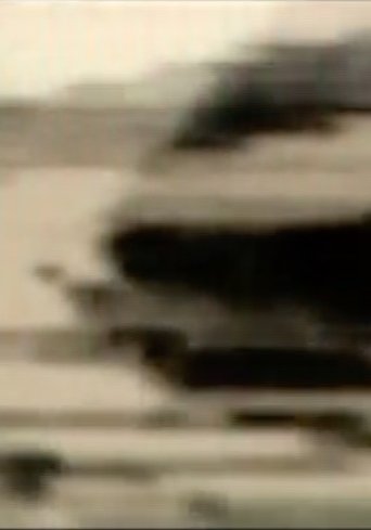 18 Videos: #15 Poster of 18 Videos: #15