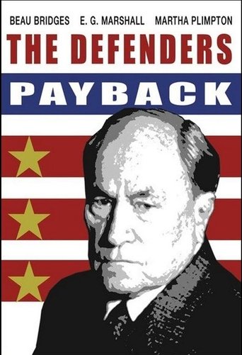 Poster of The Defenders: Payback