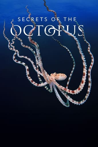 Poster of Secrets of the Octopus