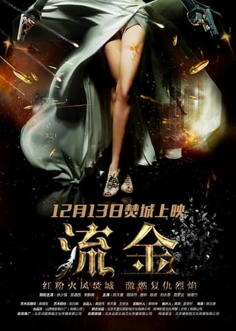 Poster of 流金