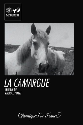 La Camargue Poster of La Camargue