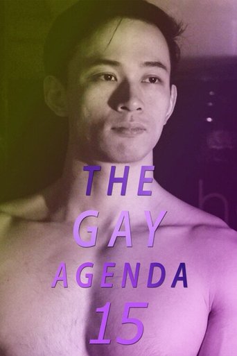 The Gay Agenda 15 Poster of The Gay Agenda 15