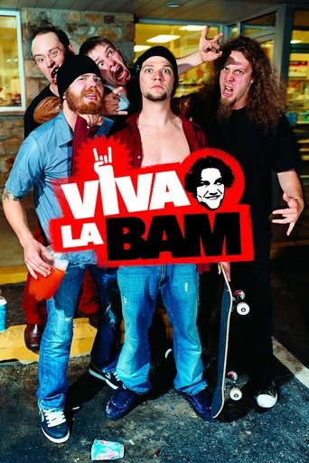 Poster of Viva La Bam