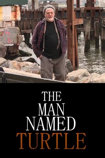 Poster of The Man Named Turtle