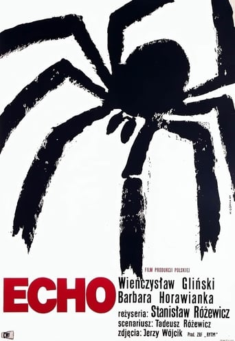 Poster of Echo