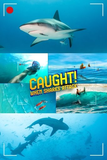 Poster of Caught! When Sharks Attack