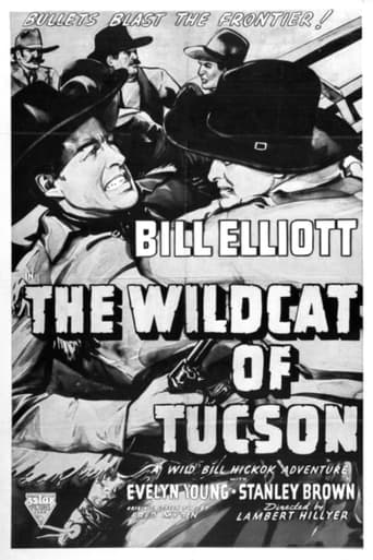Poster of The Wildcat of Tucson