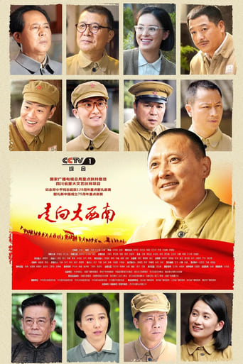 Poster of 走向大西南