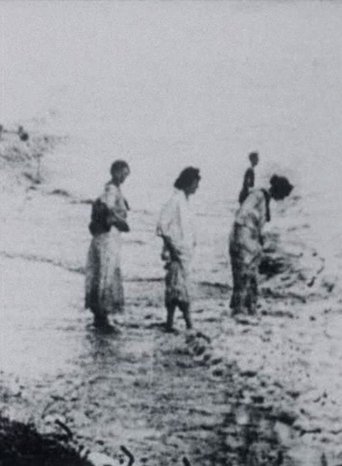 Seashore Poster of Seashore