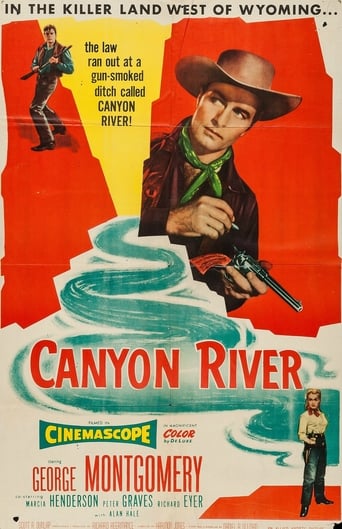 Poster of Canyon River