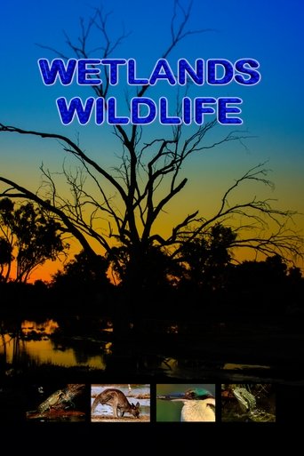 Wetlands Wildlife Poster of Wetlands Wildlife