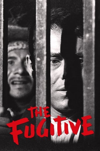 Poster of The Fugitive