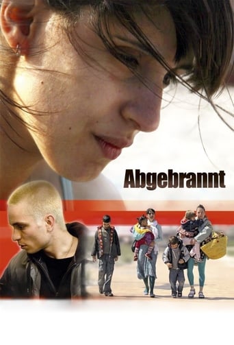 Poster of Abgebrannt