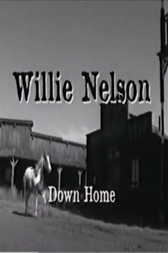 Poster of Willie Nelson: Down Home