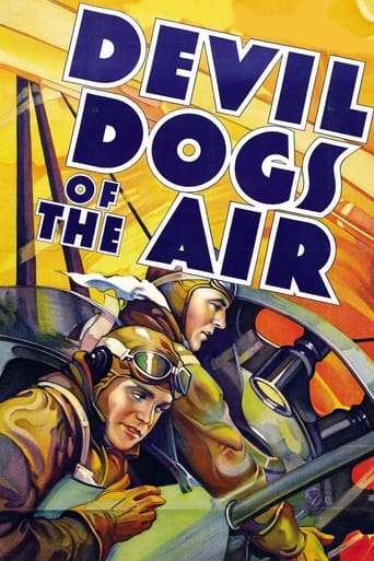 Poster of Devil Dogs of the Air