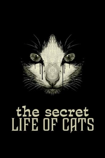 Poster of The Secret Life of Cats