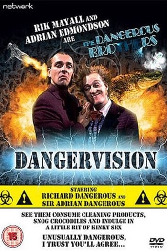Poster of The Dangerous Brothers