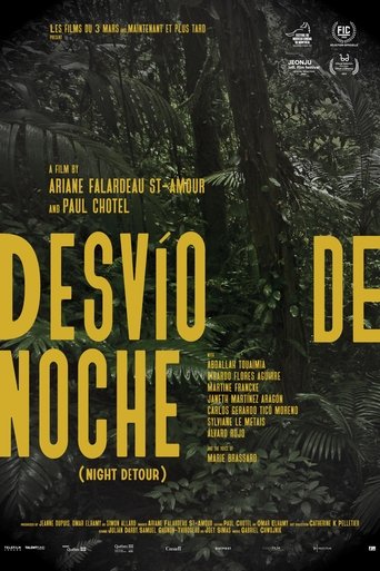 Poster of Night Detour