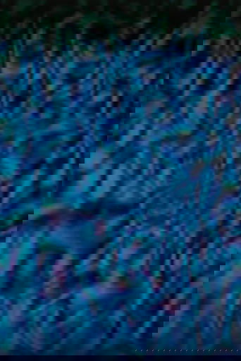 Poster of Mad Mesh