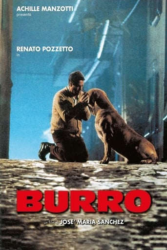 Poster of Burro