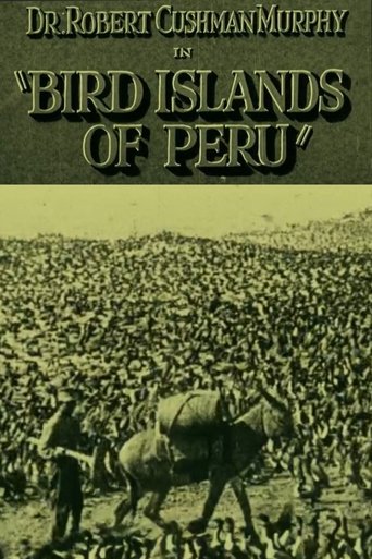 Poster of Bird Islands of Peru